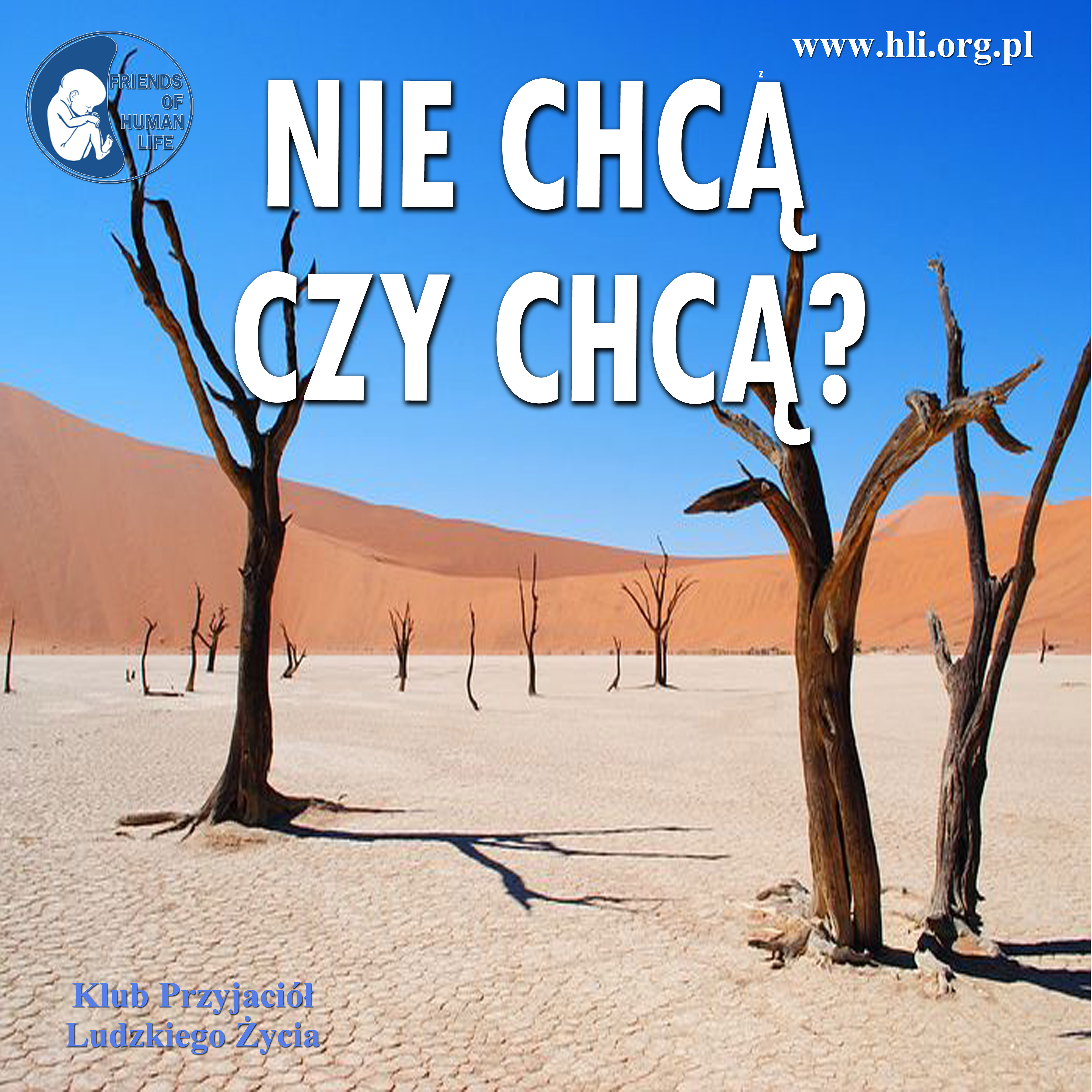 Nie chcą czy chca